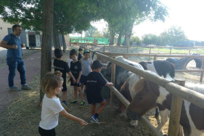 Els nens van disfrutar atansant-se als animals, sobretot als cavalls.