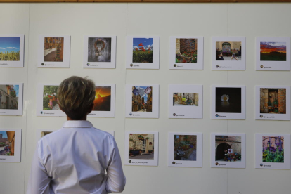 Exposició del concurs d’Instagram Les Garrigues en Flor, a l’IEI