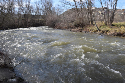 El río Valira en La Seu d’Urgell, donde aportó un caudal poco habitual por estas fechas de 28m/sg.
