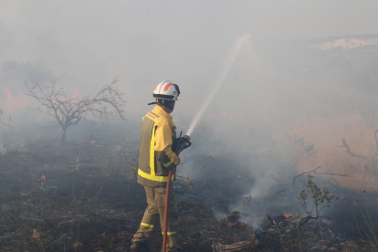 Los bomberos siguen luchando contra el fuego que afecta Almorox y varios municipios madrileños.