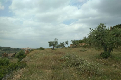 Els terrenys on projecten el càmping de l’Albagés (esquerra) i una vista aèria de la presa de l’Albagés (dreta) a finals de l’any passat