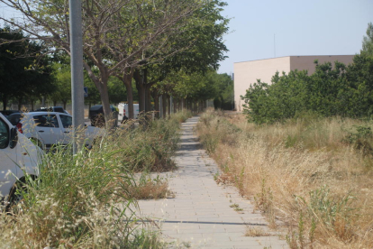 La calle de Cal Bernet, tomada por las malas hierbas, ayer. 