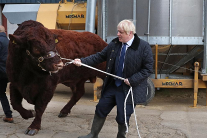Boris Johnson se les va haver ahir amb aquest toro en la visita a la ciutat escocesa d’Aberdeen.