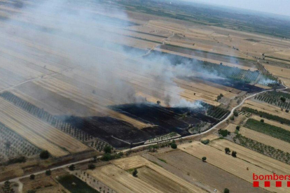 L’incendi de Belianes va afectar més de nou hectàrees de superfície agrícola en un camp de cereal.