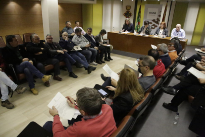 Imagen del pleno del consell del Segrià del pasado 1 de febrero.