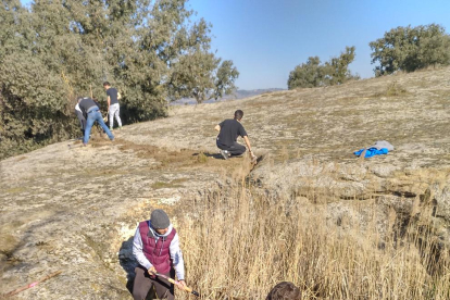 Els treballs de recuperació de les basses de secà al terme municipal de Balaguer.