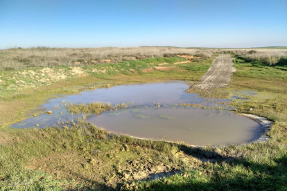 Els treballs de recuperació de les basses de secà al terme municipal de Balaguer.