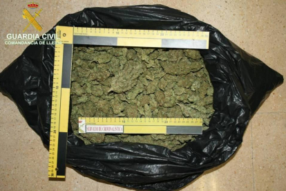 850 gramos de marihuana