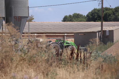 Vista de la granja donde ayer tuvo lugar el atropello mortal en Bellvís. 