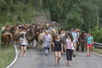 Trashumancia de caballos en el Jussà hasta la Vall Fosca