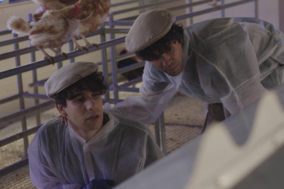 Javier Calvo i Javier Ambrossi es convertiran en grangers.