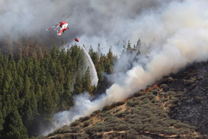 Un incendio forestal en Gran Canaria arrasa ya casi mil hectáreas 