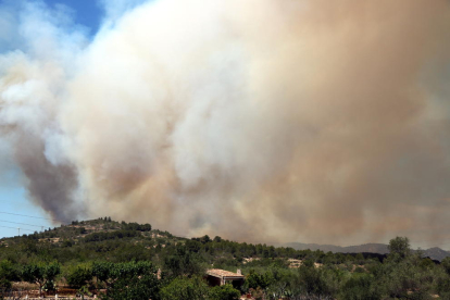 El incendio provocó grandes columnas de humo visibles a kilómetros de distancia.