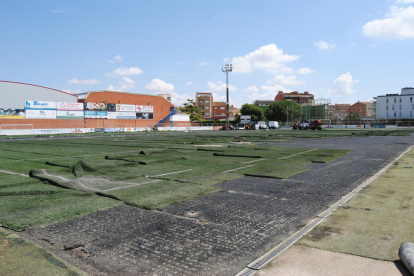 Imagen de la renovación del césped en el campo de fútbol de Mollerussa.