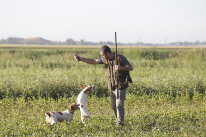 Un caçador a l’inici de la mitja veda l’any passat a Lleida.