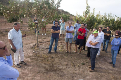 Visita a una plantación de pistachos organizada por la Cooperativa d’Ivars y el Grup Borges y que reunió a 45 agricultores. 