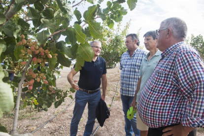 Visita a una plantació de pistatxos organitzada per la Cooperativa d’Ivars i el Grup Borges i que va reunir 45 agricultors.