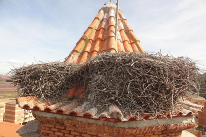 Reducen y limpian un nido de cigüeña de la iglesia de la Granja d'Escarp
