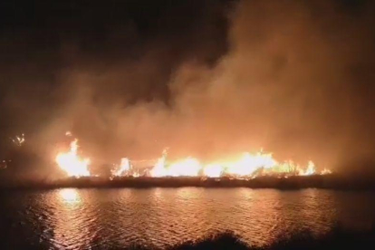 Un incendi crema matolls al marge del riu a Rufea