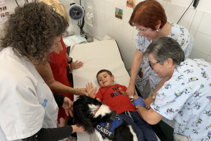 Un niño jugando con Candy en la consulta.  