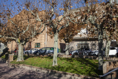 Imatge actual d’arbres i fulls a la plaça de Ramon Folch.