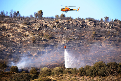 Fins a tretze dotacions de Bombers van treballar ahir en l’incendi forestal de Castelló de Farfanya.