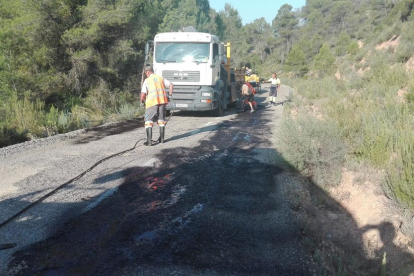 Les obres per reparar la carretera de Bovera a Palma d’Ebre.