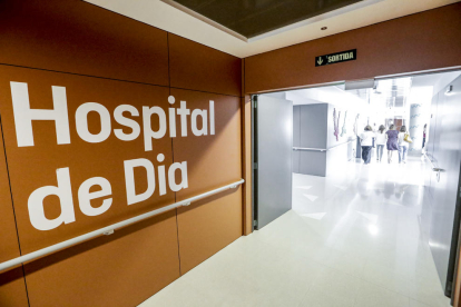 Pacientes y sanitarios trabajan en el huerto del hospital, en Copa d’Or. 