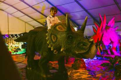 Imatge d’un triceratop que podrà veure’s a l’exposició.