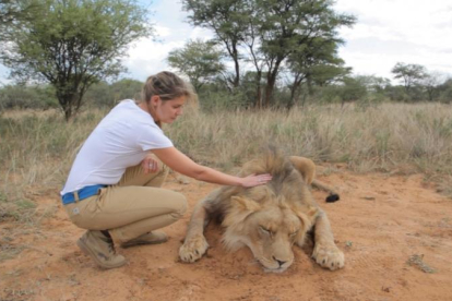 Un león abatido en un safari. Dependiendo del precio, se puede elegir el color y tamaño del animal.