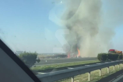 Incendi de canyes i matolls al costat de l'A-2 a Bell-lloc d'Urgell