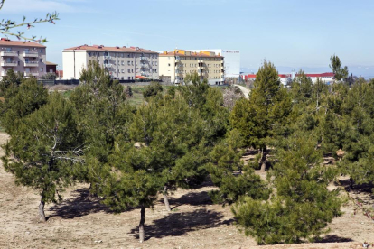 El parc està situat a la zona de creixement de la ciutat.