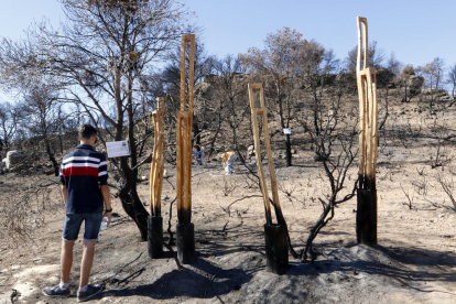 Una trentena d’artistes van començar ahir a crear a l’àrea afectada per l’incendi a prop de Maials.