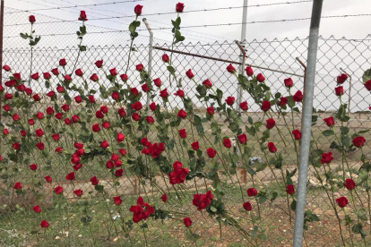 Alcalá-Meco rechaza hacer llegar 200 rosas que se habían enviado desde les Borges Blanques a Forcadell y Bassa