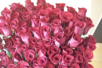 Alcalá-Meco rechaza hacer llegar 200 rosas que se habían enviado desde les Borges Blanques a Forcadell y Bassa