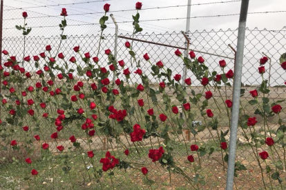 La prisión d'Alcalá-Meco, cornada de rosas
