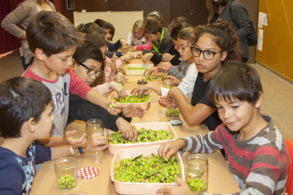 Els nens, van recollir les olives dels arbres.