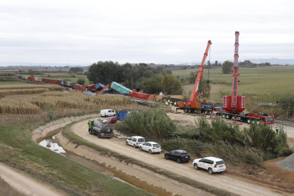 Imatge d’ahir de la retirada dels contenidors del tren de mercaderies de Continental Rail que va descarrilar entre Puigverd de Lleida i Juneda.
