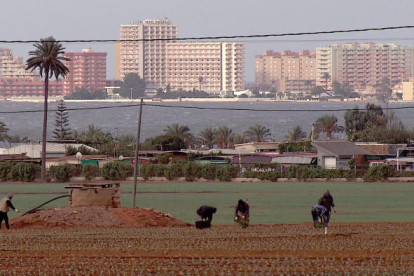 Agricultura y construcción presionan enormemente al Mar Menor.