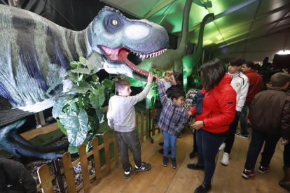El tiranosaure rex és l’estrella de l’exposició, que estarà disponible fins al 17 de novembre.