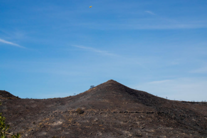 Imágenes del incendio de la Franja y el Segrià, el más importante del año en las comarcas lleidanates, con 453 hectáreas quemadas