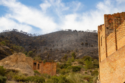 Imágenes del incendio de la Franja y el Segrià, el más importante del año en las comarcas lleidanates, con 453 hectáreas quemadas