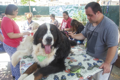 Usuarios del centro, con uno de los perros de la terapia.