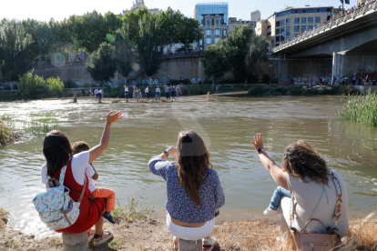 Bajada de un rai por el río Segre en Lleida