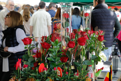 Sant Jordi 2023 a Lleida