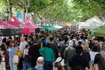 Sant Jordi 2023 a Lleida