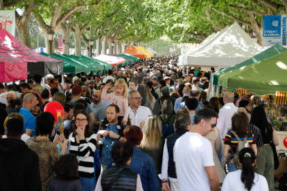 Sant Jordi 2023 a Lleida