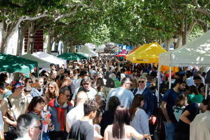 Sant Jordi 2023 a Lleida