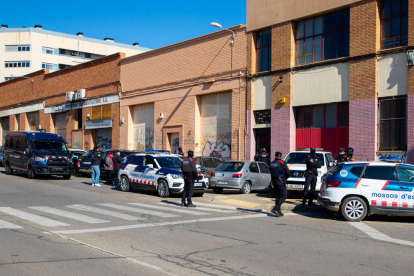 Macro operación contra el cultivo y tráfico de marihuana en Lleida