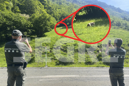 Agents Rurals guaitant l'ós, a Esterri d'Àneu